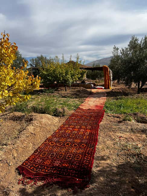 Marrakech: Waterfall, Valley, Atlas Mountain, Camel & Desert - Lunch in a Berber family home