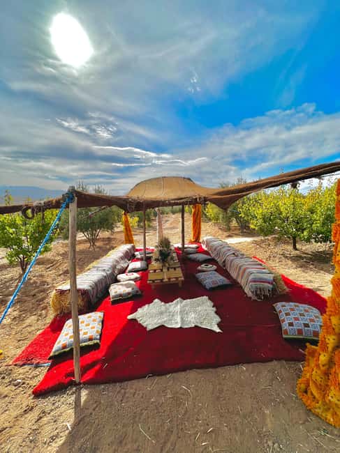 Marrakech: Waterfall, Valley, Atlas Mountain, Camel & Desert - Camel riding in the Agafay Desert