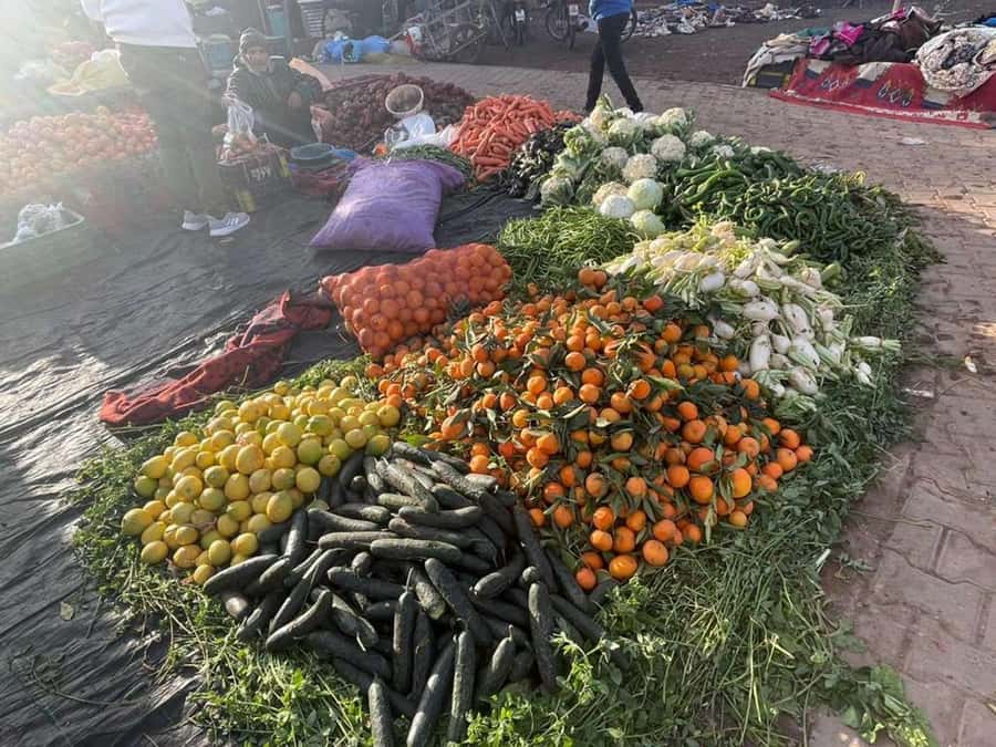 Marrakech: Waterfall, Valley, Atlas Mountain, Camel & Desert - What the $10 price really offers