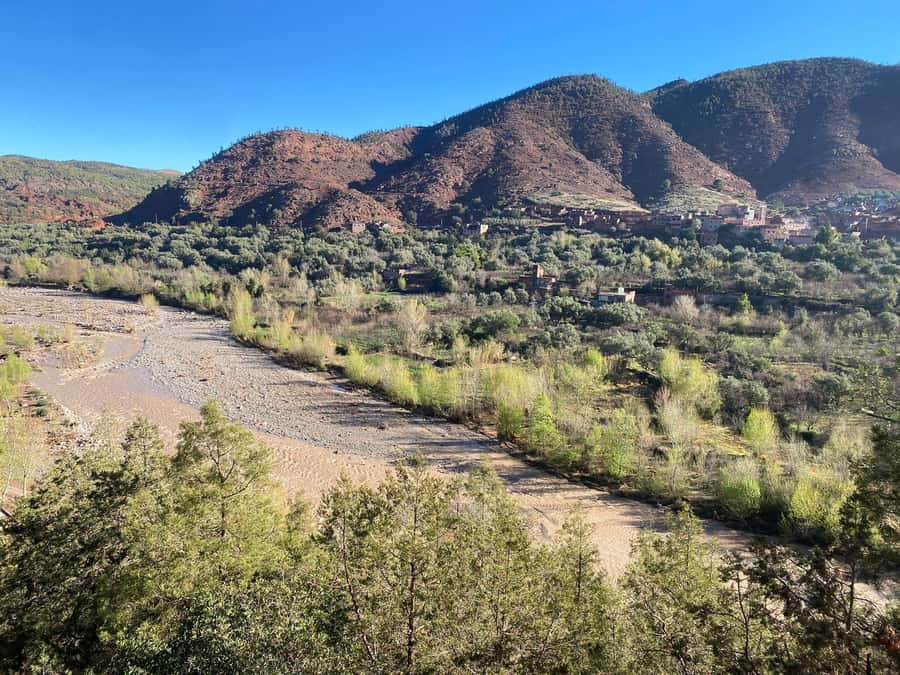 Marrakesh: Ourika Valley Tour & Secret Berber Lunch + Guide - Who should book this Ourika Valley outing?