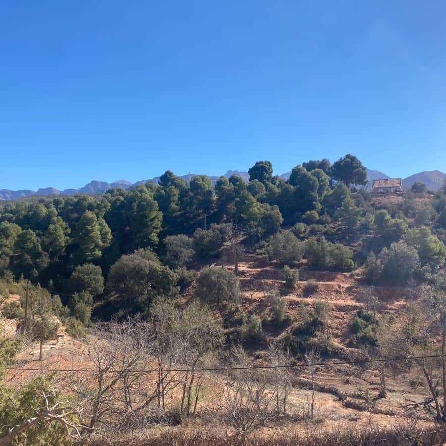 Marrakesh: Ourika Valley Tour & Secret Berber Lunch + Guide - Argan oil at a women-run cooperative