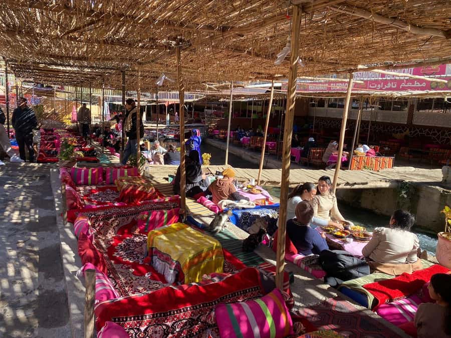 Marrakesh: Ourika Valley Tour & Secret Berber Lunch + Guide - What the $21 price really gives you