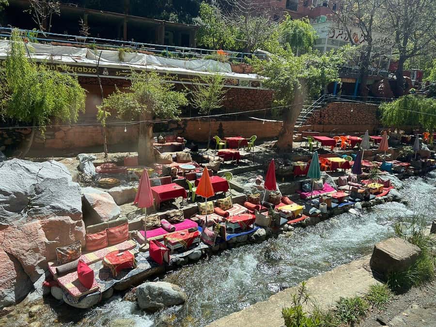 Marrakesh: Ourika Waterfalls, Atlas Mountains, Lunch + Guide - Who should book this Ourika trip?