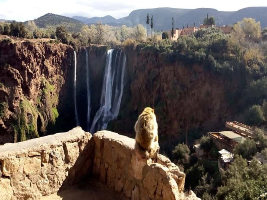 Marrakesh: Ouzoud Waterfalls Trip with Hike & Boat Option - Lunch above the falls, with the right expectations