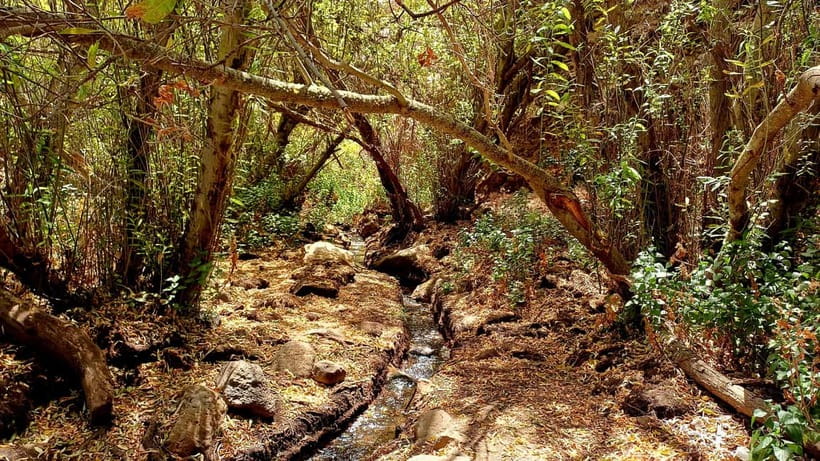 Maspalomas: Hiking in the Waterfalls with Sky Rebels - Why this waterfall walk feels different