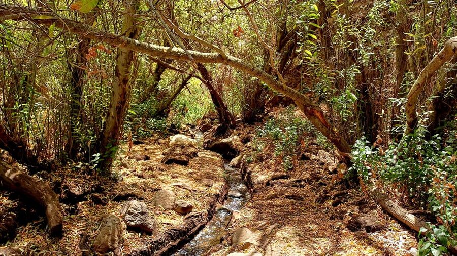 Maspalomas: Hiking in the Waterfalls with Sky Rebels - The waterfall and the food break