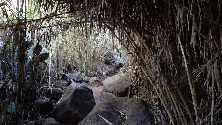 Maspalomas: Hiking in the Waterfalls with Sky Rebels - How difficult is the 8 to 9 kilometer route?