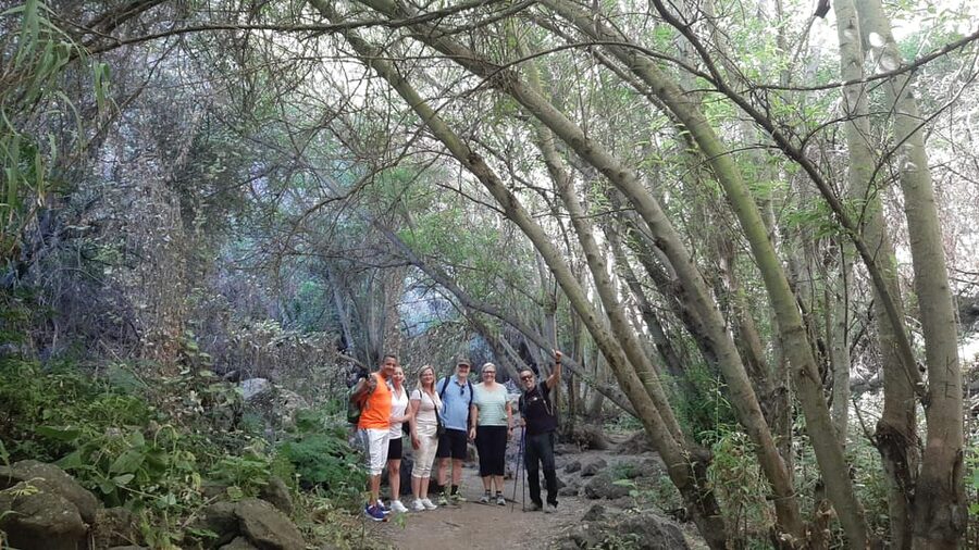 Maspalomas: Hiking in the Waterfalls with Sky Rebels - Who should book this hike?