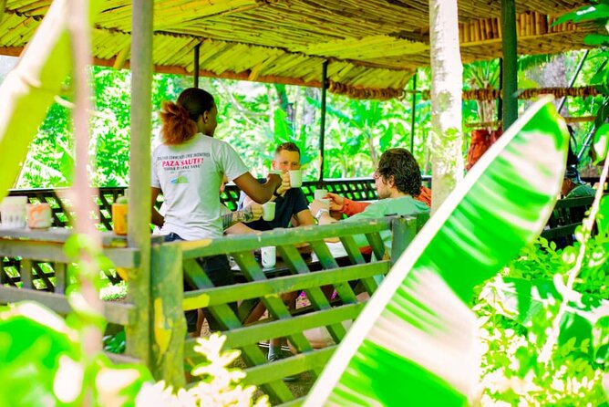 Materuni Waterfall and Kikuletwa Hot Spring Tour - A full day built around Materuni village