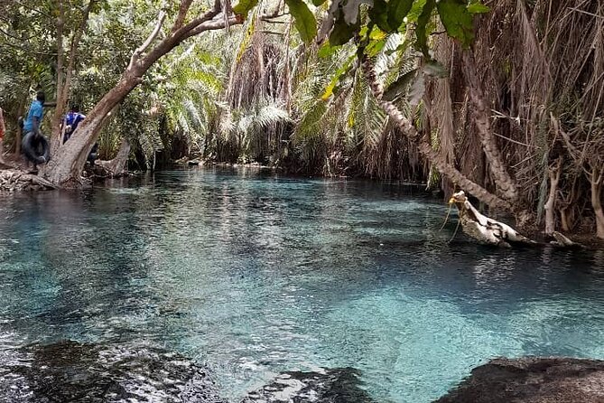 Materuni Waterfall and Kikuletwa Hot Spring Tour - Chagga culture without a rushed city tour