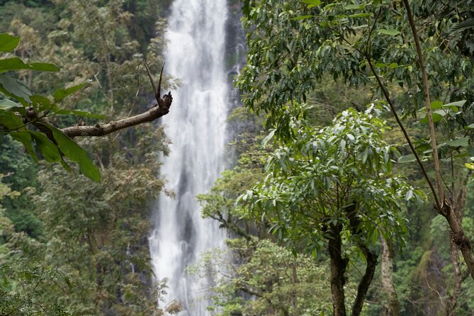 Materuni Waterfall and Kikuletwa Hot Spring Tour - Relaxing at Kikuletwa Hot Springs