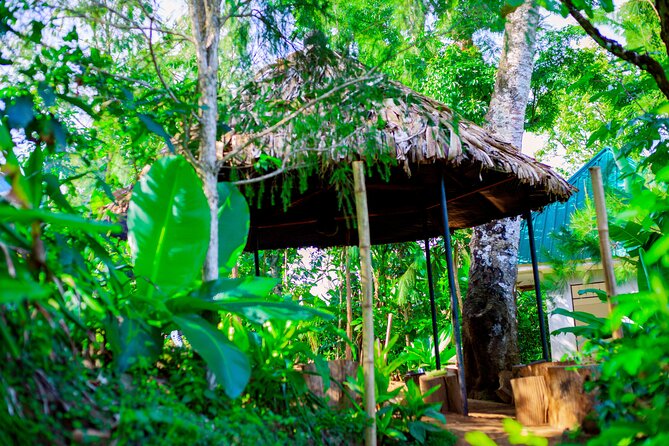 Materuni Waterfall and Kikuletwa Hot Spring Tour - Practical details before you go