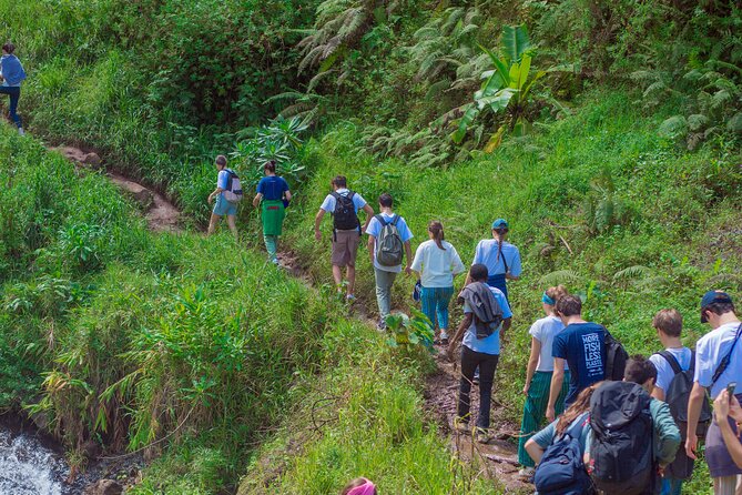 Materuni Waterfall and Kikuletwa Hot Spring Tour - Walking to Materuni Waterfall