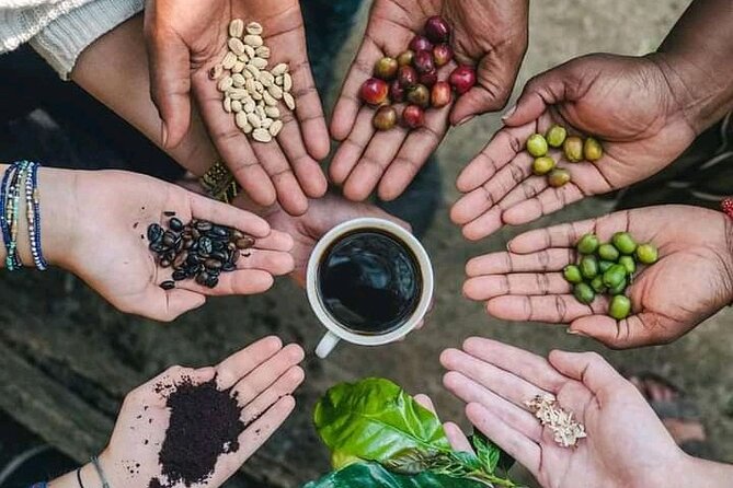 Materuni Waterfall Coffee Tour and Chemka Hot Springs Experience - What makes this day special