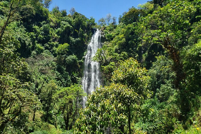 Materuni Waterfall, Coffee Tour and Picnic Hot Lunch - Walking through Materuni Village to the falls