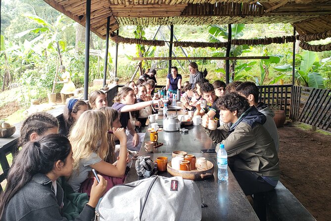 Materuni Waterfall, Coffee Tour and Picnic Hot Lunch - Guides, pace, and the personal side of the day