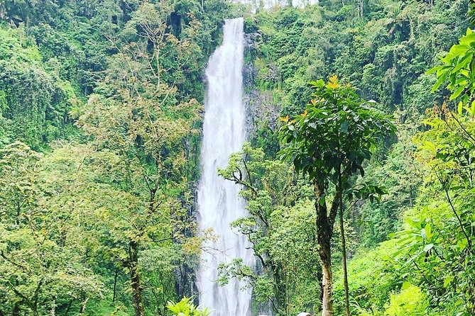 Materuni Waterfalls and Coffee Tour - Walking from Chaga homes to Materuni Waterfalls