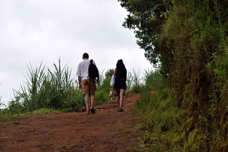 Materuni Waterfalls, Chemka Hot Springs, &/Or Coffee Tour - Key points to know before you go