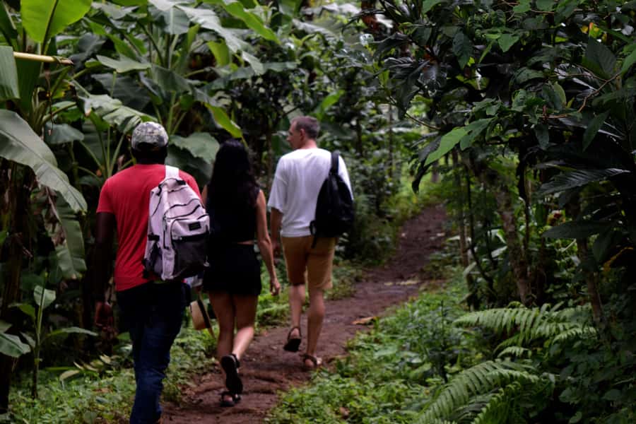 Materuni Waterfalls, Chemka Hot Springs, &/Or Coffee Tour - Why this day works after a safari