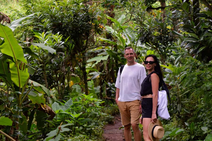 Materuni Waterfalls, Chemka Hot Springs, &/Or Coffee Tour - Materuni coffee, made by you