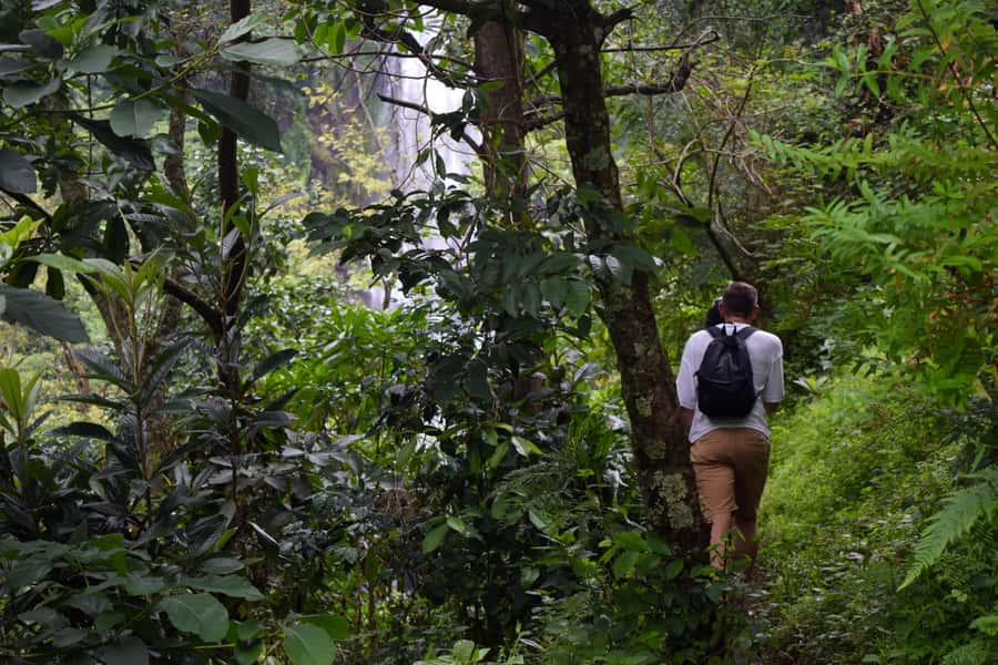 Materuni Waterfalls, Chemka Hot Springs, &/Or Coffee Tour - Swimming at Chemka Hot Springs