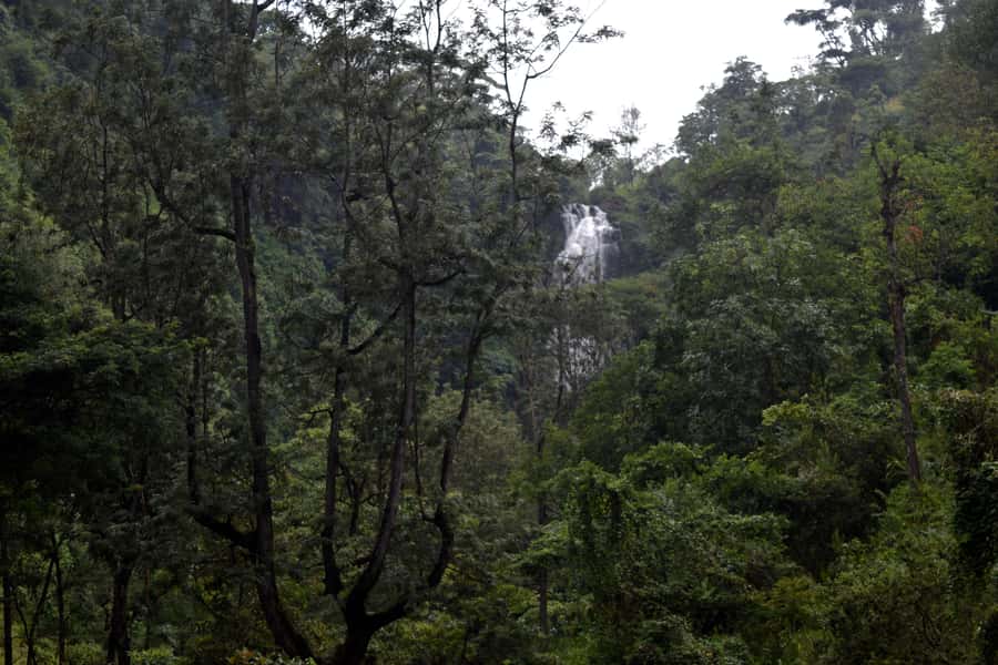 Materuni Waterfalls, Chemka Hot Springs, &/Or Coffee Tour - Guides, driving, and the human side of the day