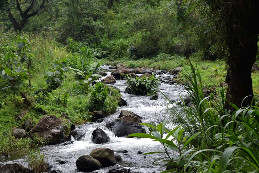 Materuni Waterfalls, Chemka Hot Springs, &/Or Coffee Tour - Packing advice for a wet, active day