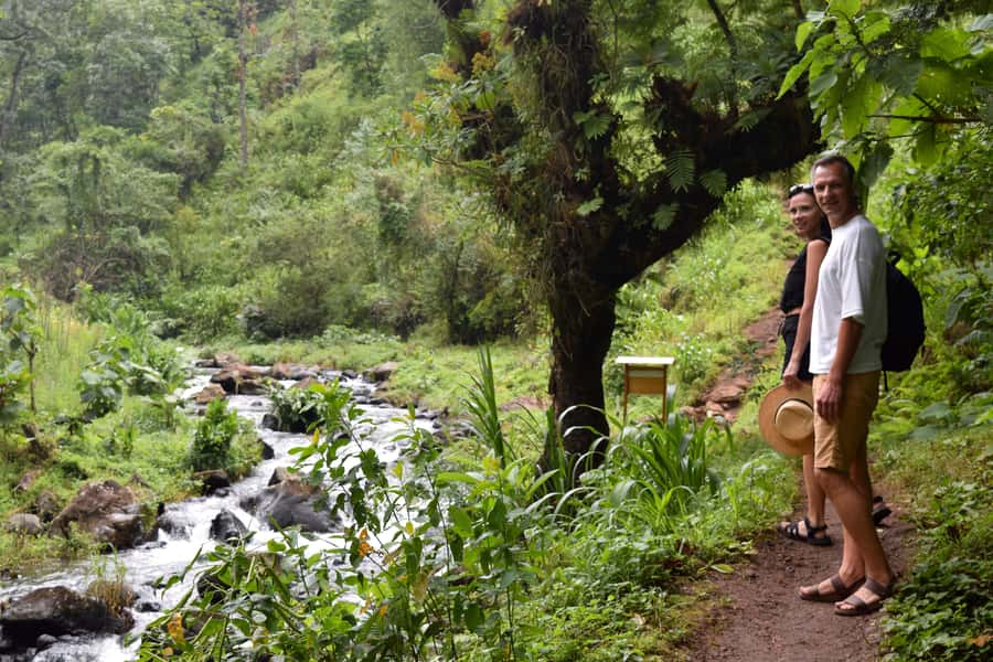 Materuni Waterfalls, Chemka Hot Springs, &/Or Coffee Tour - Who should book this experience?