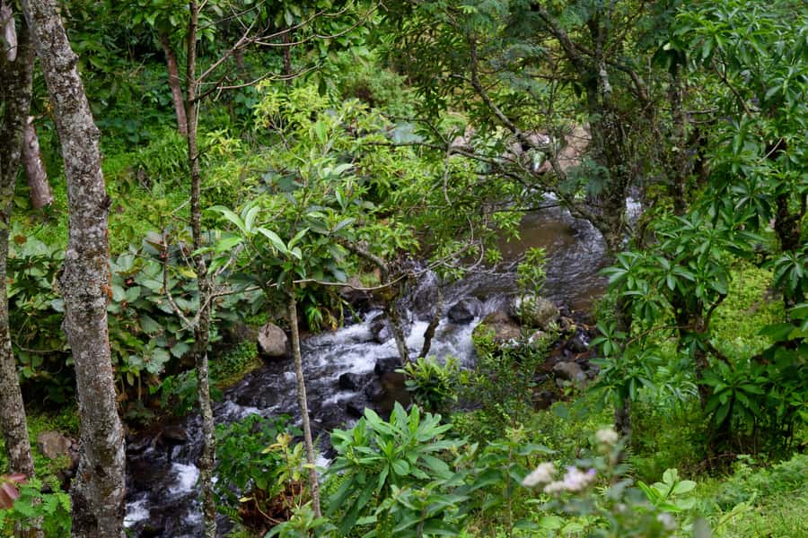 Materuni Waterfalls, Chemka Hot Springs, &/Or Coffee Tour - Should you book the full day?