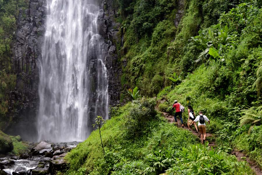 Materuni Waterfalls, Chemka Hot Springs, &/Or Coffee Tour - The walk to Materuni Falls
