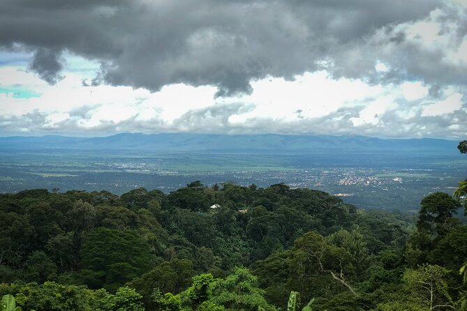 MATERUNI waterfalls, coffe tour & kikuletwa hotsprings - The Materuni coffee experience, from plant to cup