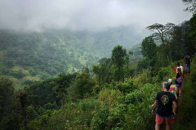 MATERUNI waterfalls, coffe tour & kikuletwa hotsprings - What the private format changes