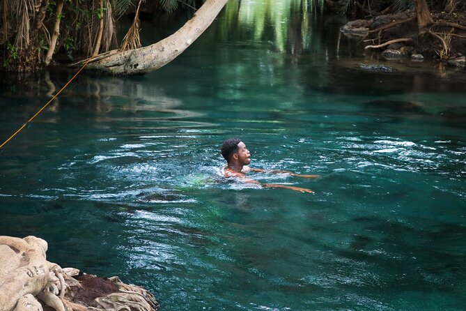 MATERUNI waterfalls, coffe tour & kikuletwa hotsprings - Materuni Waterfalls: a walk with a real payoff