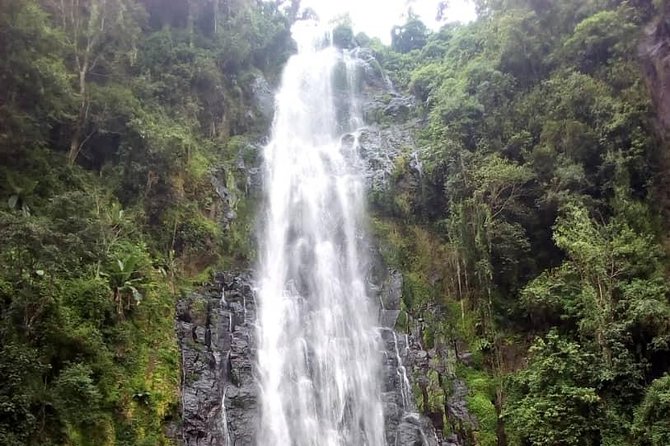 Materuni Waterfalls & Coffee making Cultural Tour | BURIGI CHATO SAFARIS LTD - Starting from Arusha at 8:30 in the morning