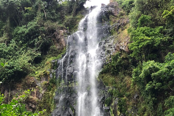 Materuni waterfalls coffee tour & Chemka hot springs Day trip - Is $95 a fair price?