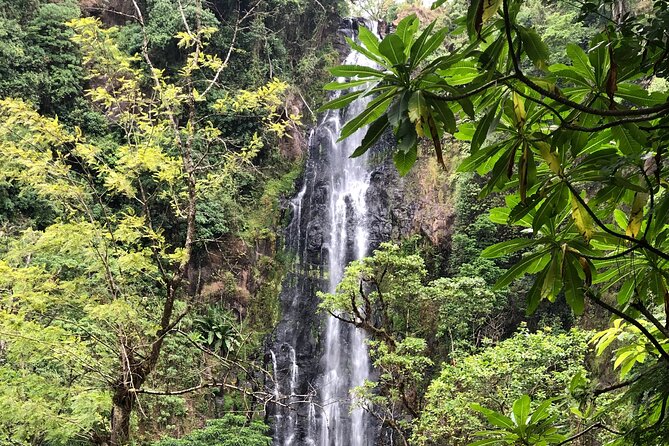 Materuni waterfalls coffee tour & Chemka hot springs Day trip - Who will enjoy this most?
