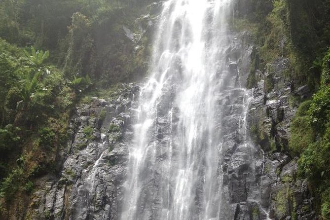 Materuni Waterfalls & Coffee Tour from Moshi - Key things to know before booking