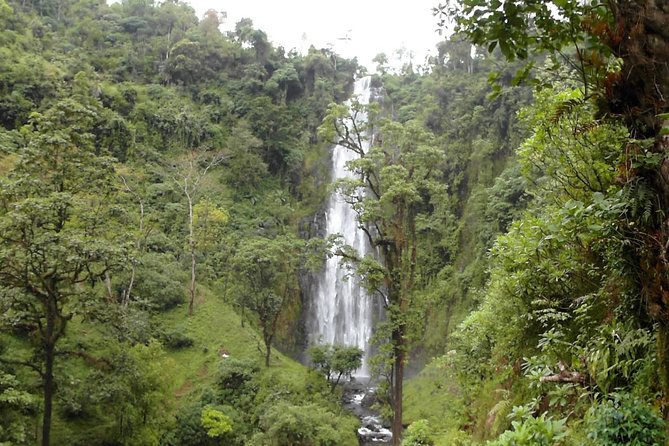 Materuni Waterfalls & Coffee Tour from Moshi - Reaching the 90-meter Materuni Waterfall