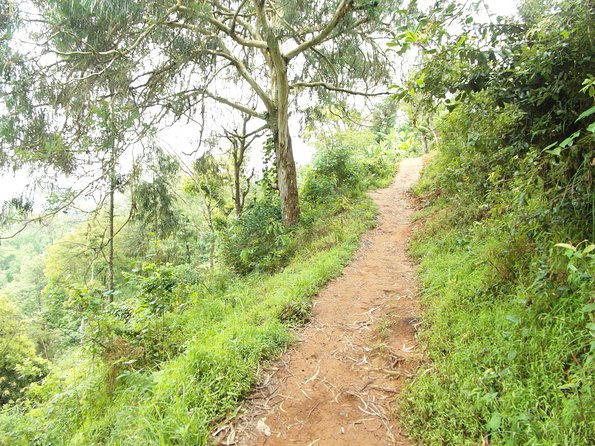 Materuni Waterfalls & Coffee Tour from Moshi - Lunch, value, and the $60 price