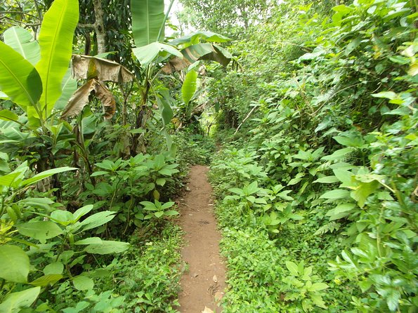 Materuni Waterfalls & Coffee Tour from Moshi - Practical planning for a comfortable visit