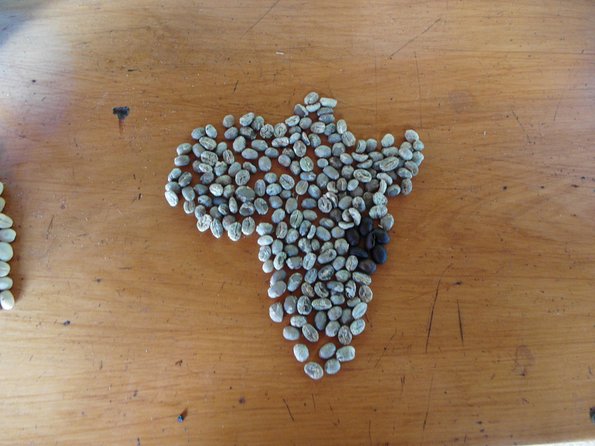 Materuni Waterfalls & Coffee Tour from Moshi - Who will enjoy this tour most