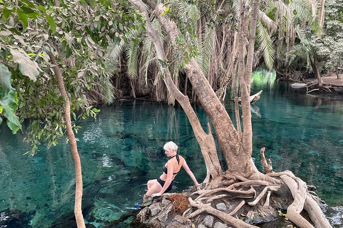 Materuni waterfalls,coffee tour & Kikuletwa(Chemka)Hot Springs - What the private format really adds