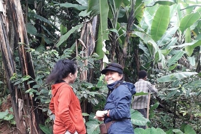 Materuni waterfalls,coffee tour & Kikuletwa(Chemka)Hot Springs - Timing, pickup, and what to pack