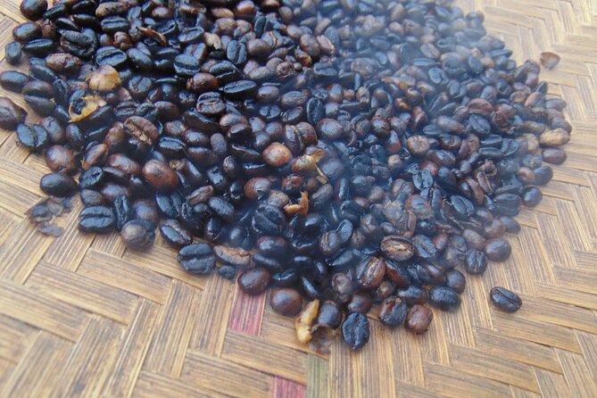 Materuni waterfalls,coffee tour & Kikuletwa(Chemka)Hot Springs - Who should choose this experience?