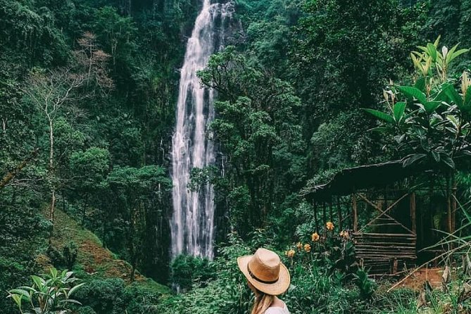 Materuni Waterfalls, coffee tour & Kikuletwa Hot Springs - Why this Arusha day trip works so well