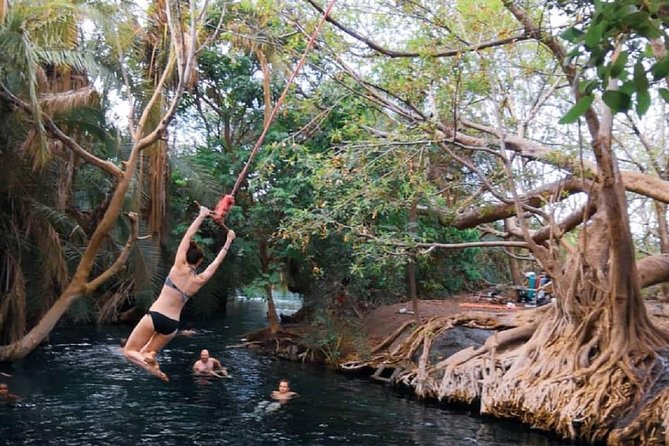 Materuni Waterfalls, coffee tour & Kikuletwa Hot Springs - What guides add to the day