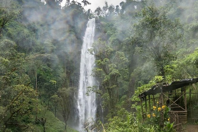 Materuni Waterfalls, coffee tour & Kikuletwa Hot Springs - Is $100 a fair price?