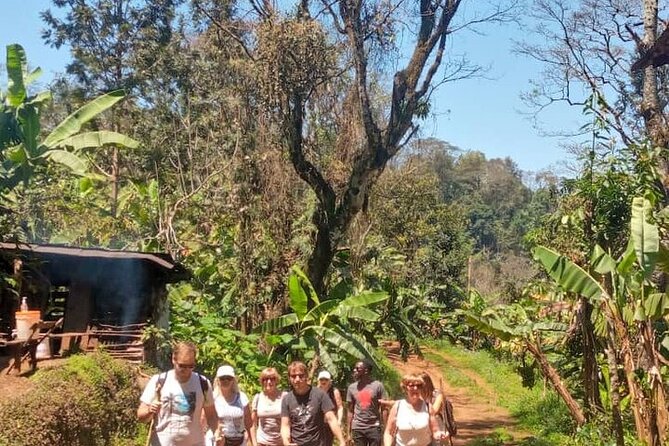 Materuni Waterfalls, Kikuletwa Chemka Hot springs, Coffee tour - Cooling off at Materuni Waterfalls