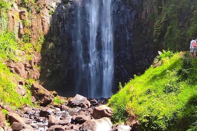 Materuni Waterfalls, Kikuletwa Chemka Hot springs, Coffee tour - Booking, weather, and cancellation advice