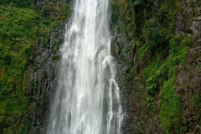 Materuni Waterfalls, Kikuletwa Chemka Hot springs, Coffee tour - Kikuletwa Hot Springs: warm water in dry Maasai country